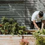 5 Ways Horticultural Therapy Benefits Mental Health