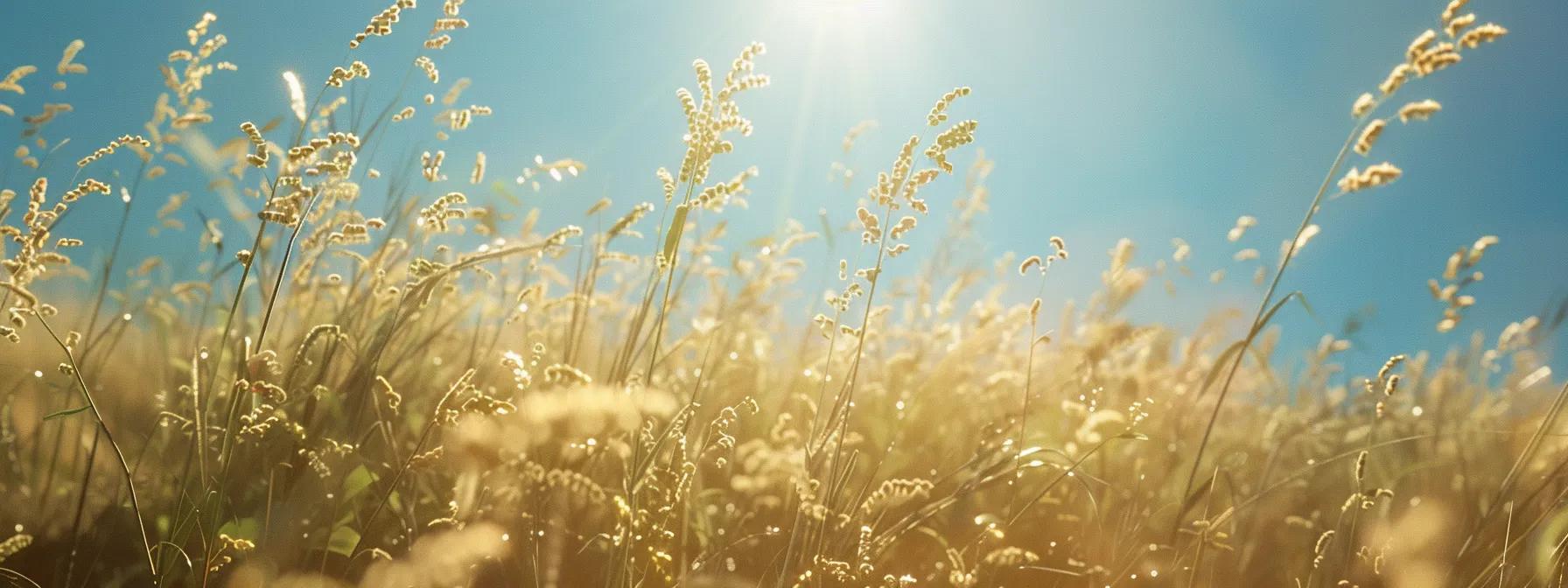 Create a Flourishing Wildlife Habitat Using Sunflowers