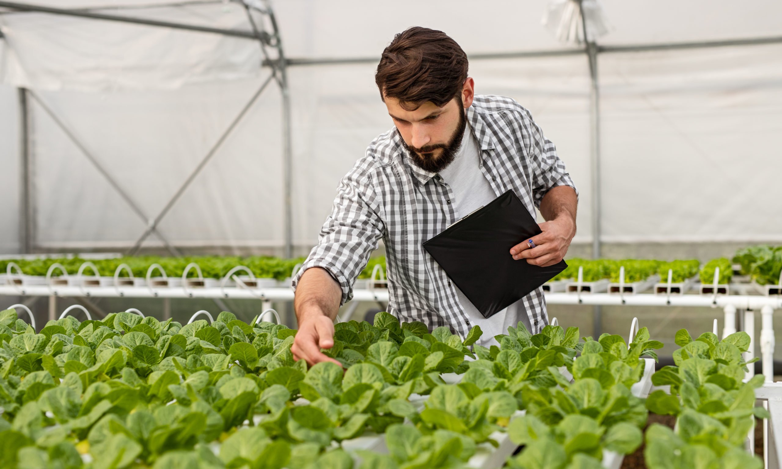 How To Grow Your Business