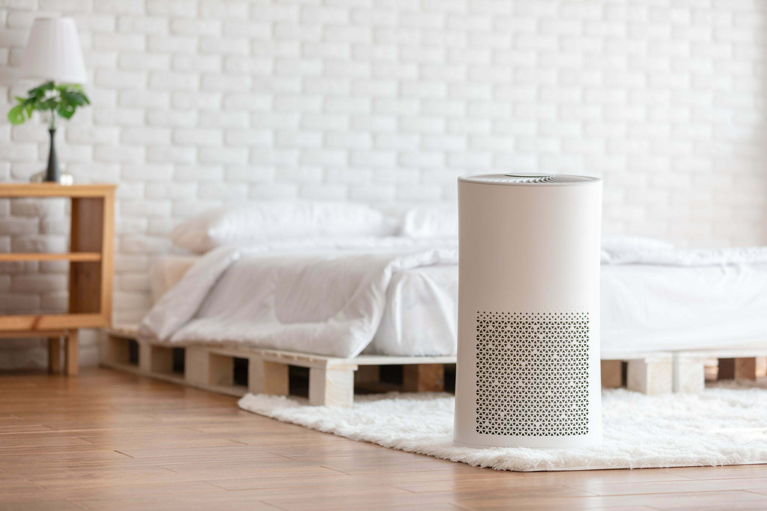 The Common Health Implications of Poor Air Quality