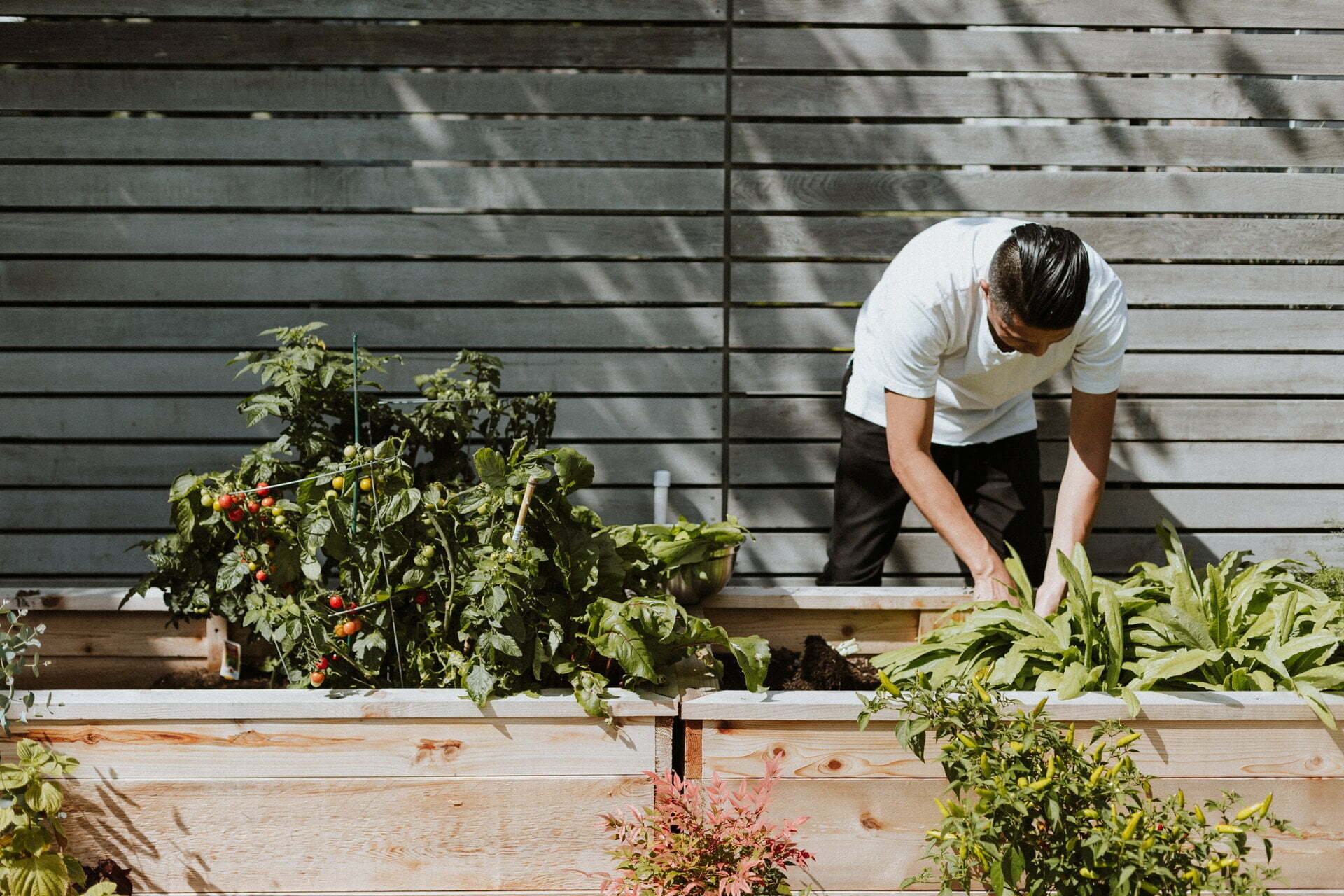 5 Ways Horticultural Therapy Benefits Mental Health
