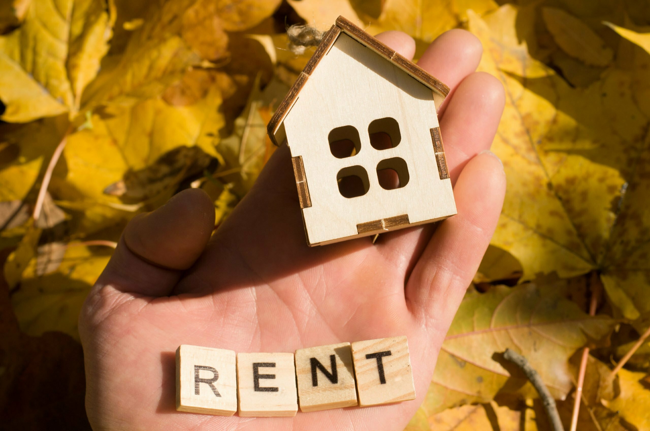Preparing Your Rental Property: Tips for Landlords